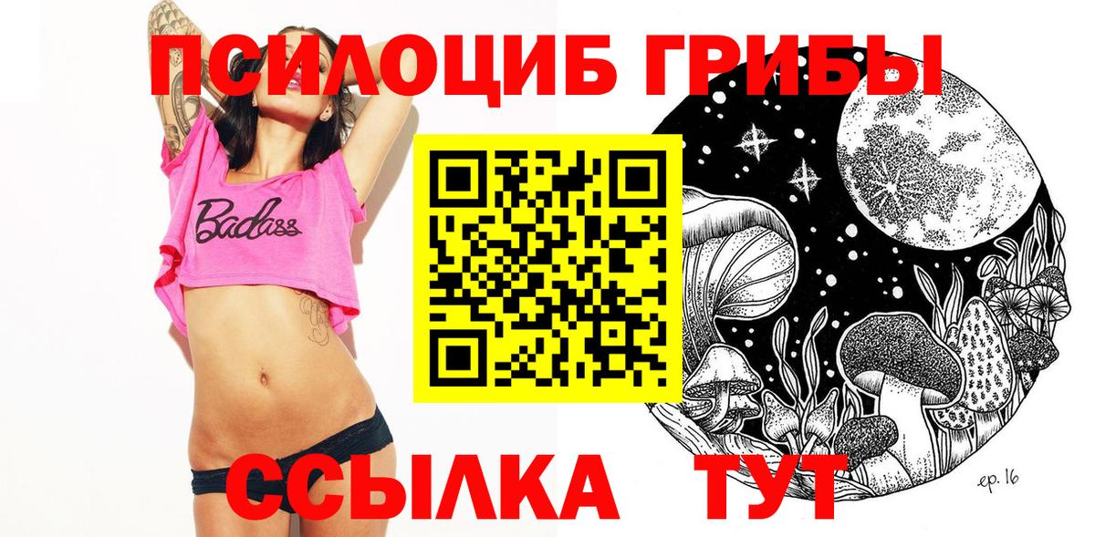 Псилоцибиновые грибы Cubensis  Вход с VPN  Приморско-Ахтарск 